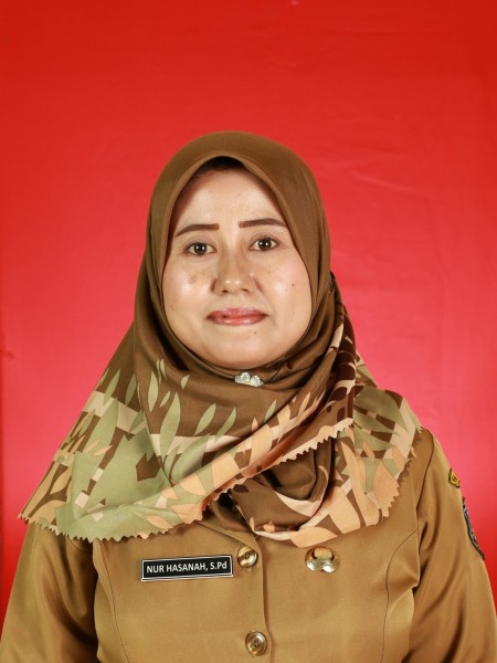 NUR HASANAH, S.Pd